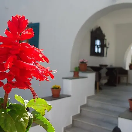 Kipos Lejlighed Naxos City